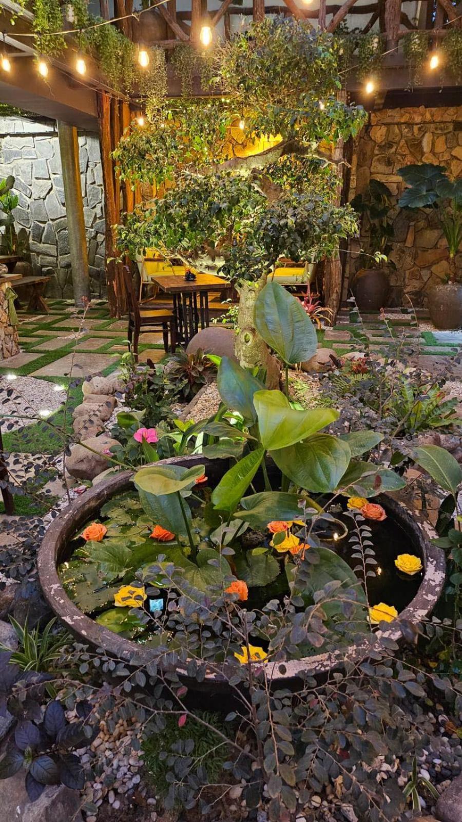 הוי אן Phoenix Hotel An Bang Beach מראה חיצוני תמונה